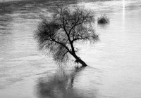 Acqua alta