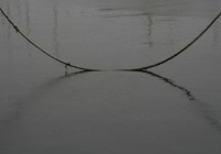 Uniti